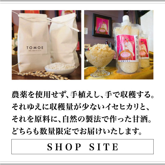 SHOP SITE